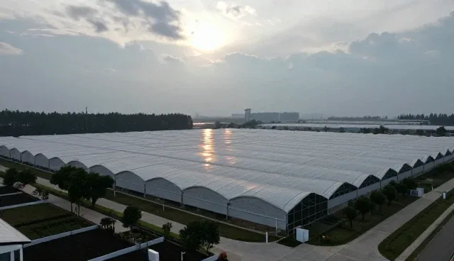 运维中技术支持如何应对性能与适用条件问题